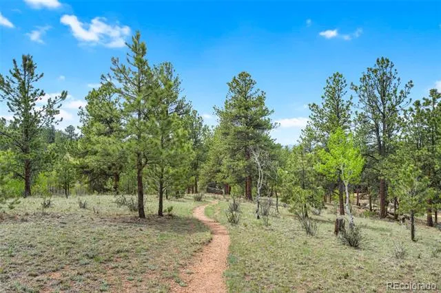 605 Obsidian Drive Florissant, CO 80816