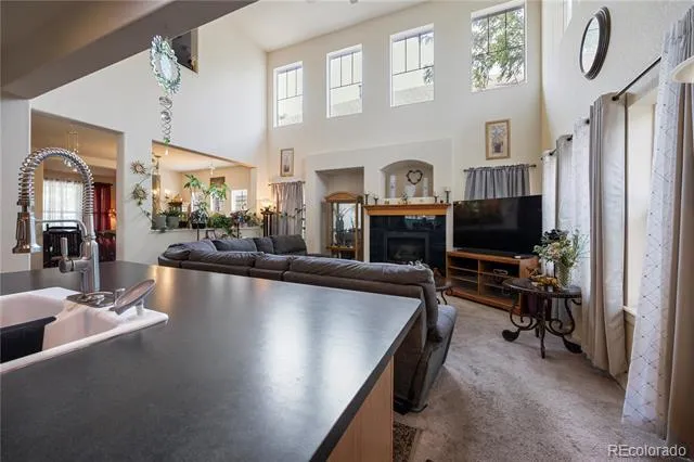 3525 E 141st Drive Brighton, CO 80602