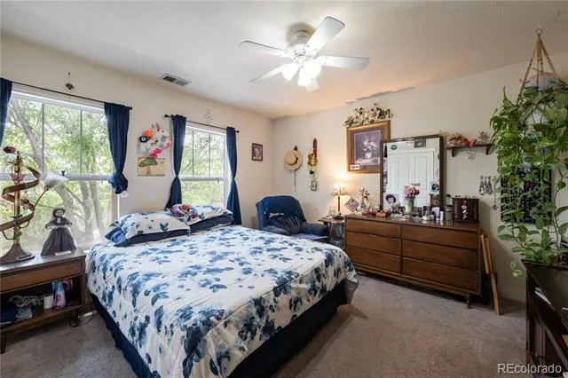 3525 E 141st Drive Brighton, CO 80602
