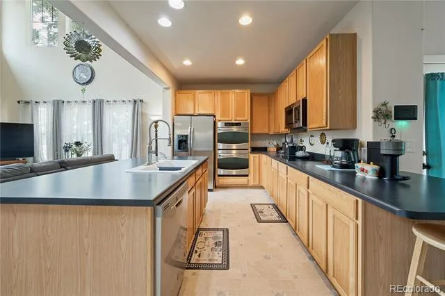 3525 E 141st Drive Brighton, CO 80602