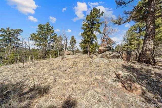 196 Beaver Creek Circle Florissant, CO 80816