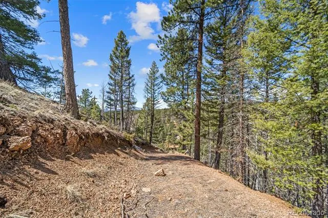 196 Beaver Creek Circle Florissant, CO 80816