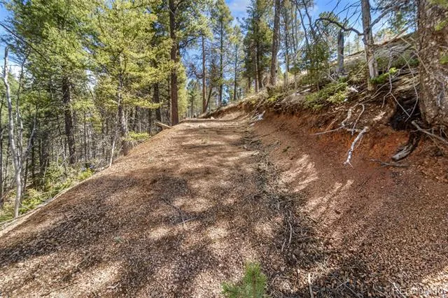 196 Beaver Creek Circle Florissant, CO 80816