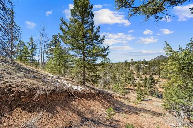196 Beaver Creek Circle Florissant, CO 80816
