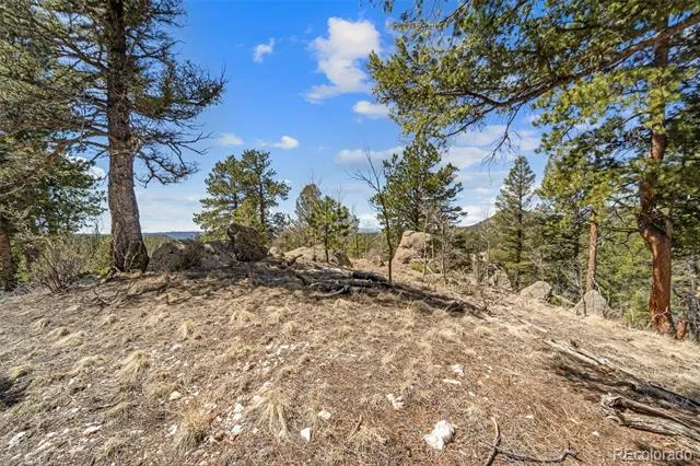 196 Beaver Creek Circle Florissant, CO 80816
