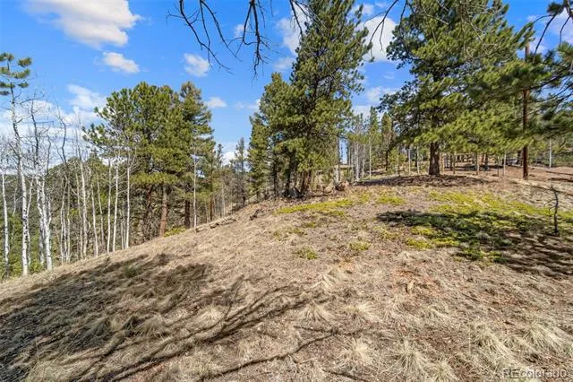 196 Beaver Creek Circle Florissant, CO 80816