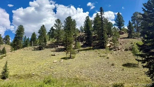 196 Beaver Creek Circle Florissant, CO 80816