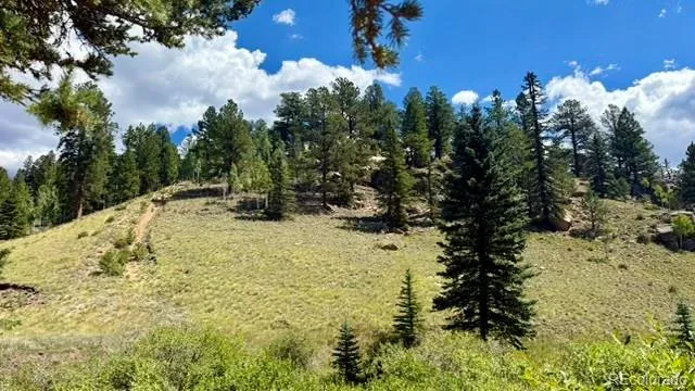 196 Beaver Creek Circle Florissant, CO 80816