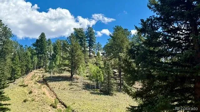 196 Beaver Creek Circle Florissant, CO 80816