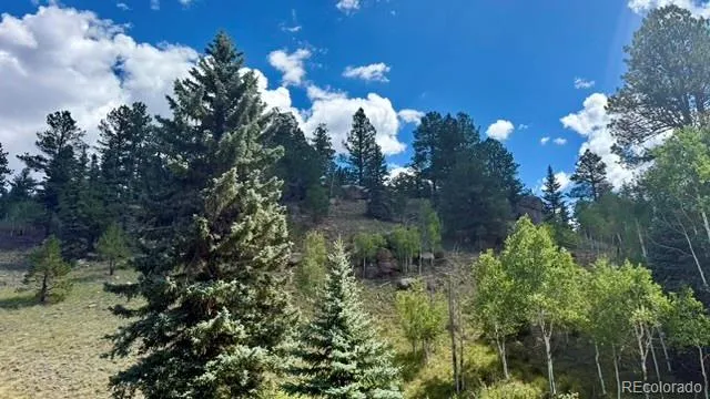 196 Beaver Creek Circle Florissant, CO 80816