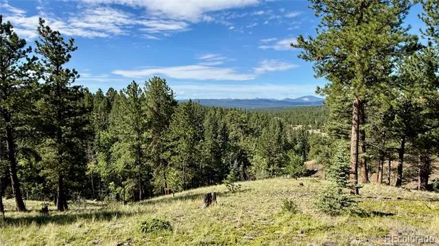 196 Beaver Creek Circle Florissant, CO 80816