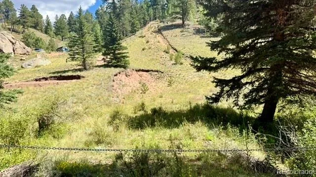196 Beaver Creek Circle Florissant, CO 80816