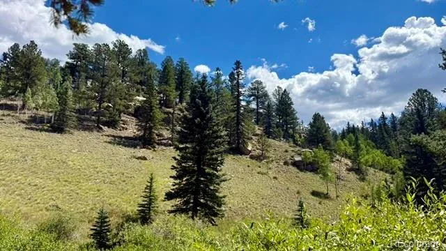 196 Beaver Creek Circle Florissant, CO 80816