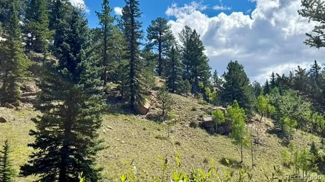 196 Beaver Creek Circle Florissant, CO 80816