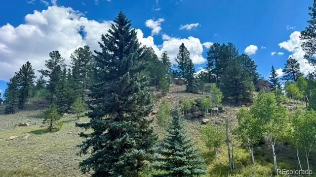 196 Beaver Creek Circle Florissant, CO 80816