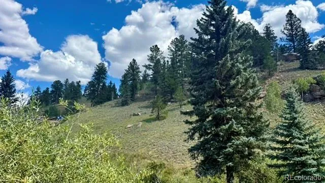 196 Beaver Creek Circle Florissant, CO 80816