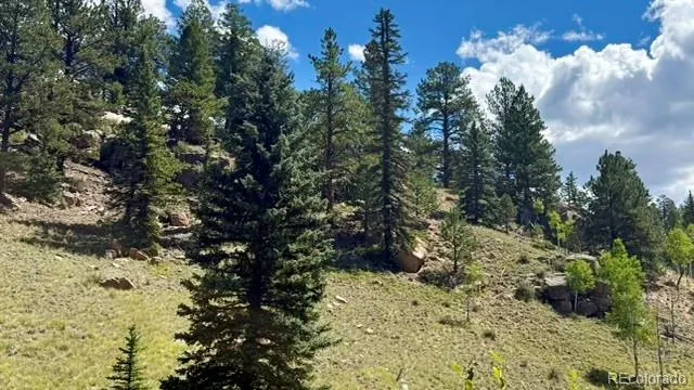 196 Beaver Creek Circle Florissant, CO 80816