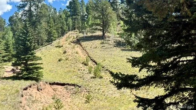196 Beaver Creek Circle Florissant, CO 80816