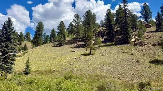 196 Beaver Creek Circle Florissant, CO 80816