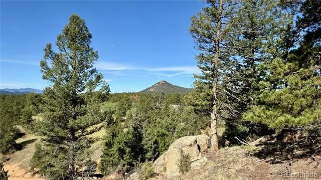 196 Beaver Creek Circle Florissant, CO 80816
