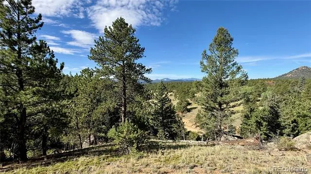 196 Beaver Creek Circle Florissant, CO 80816