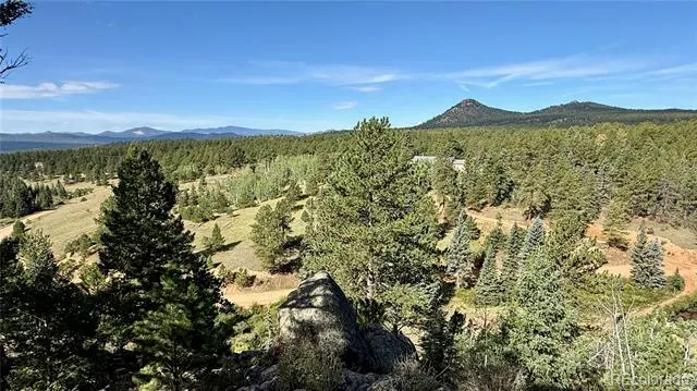 196 Beaver Creek Circle Florissant, CO 80816