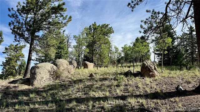 196 Beaver Creek Circle Florissant, CO 80816