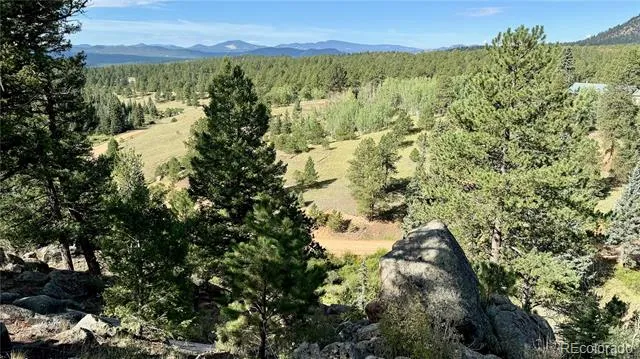 196 Beaver Creek Circle Florissant, CO 80816