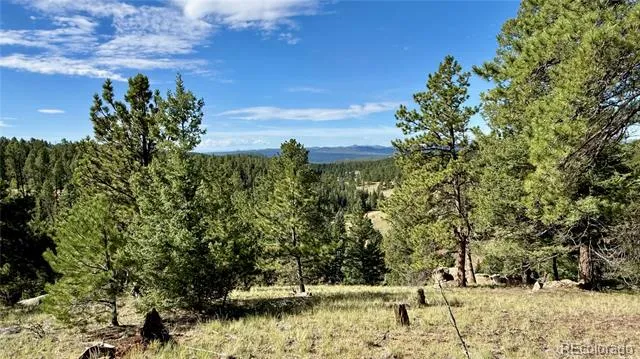 196 Beaver Creek Circle Florissant, CO 80816
