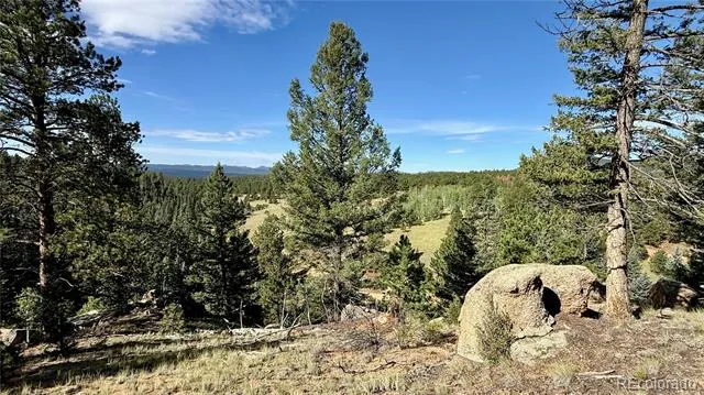 196 Beaver Creek Circle Florissant, CO 80816