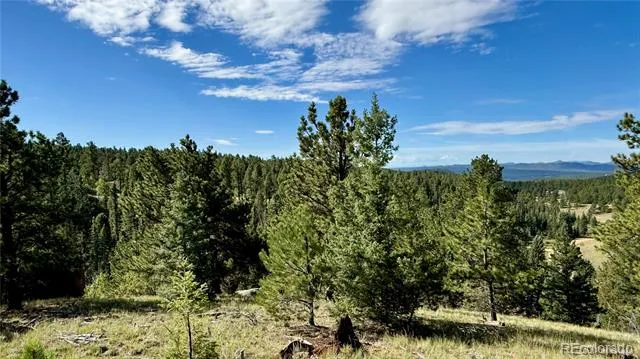 196 Beaver Creek Circle Florissant, CO 80816