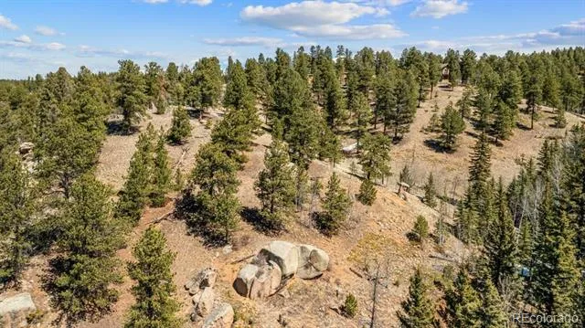 196 Beaver Creek Circle Florissant, CO 80816