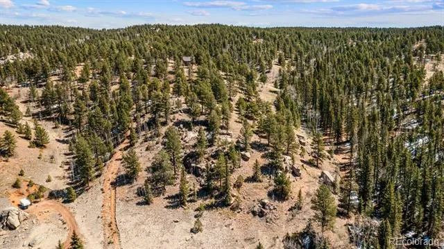 196 Beaver Creek Circle Florissant, CO 80816