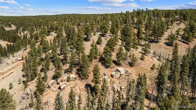 196 Beaver Creek Circle Florissant, CO 80816