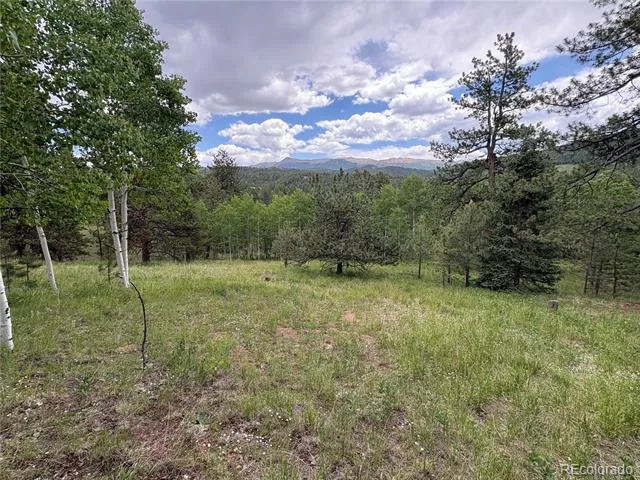 532 May Queen Drive Cripple Creek, CO 80813