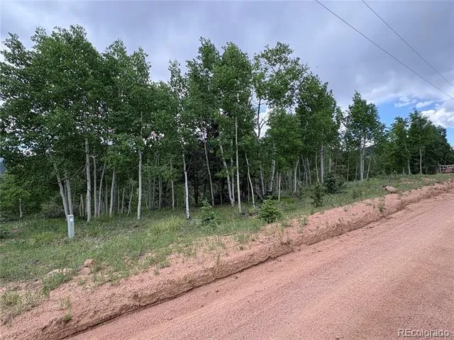 532 May Queen Drive Cripple Creek, CO 80813