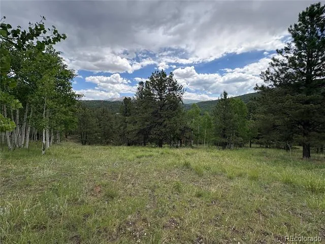 532 May Queen Drive Cripple Creek, CO 80813