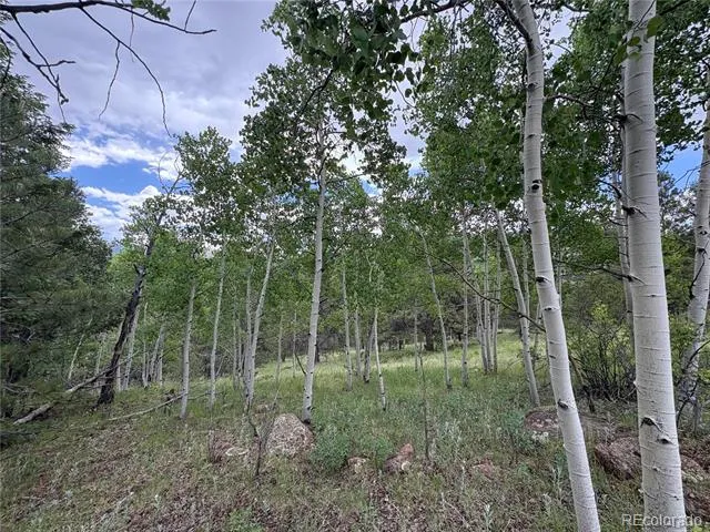 532 May Queen Drive Cripple Creek, CO 80813