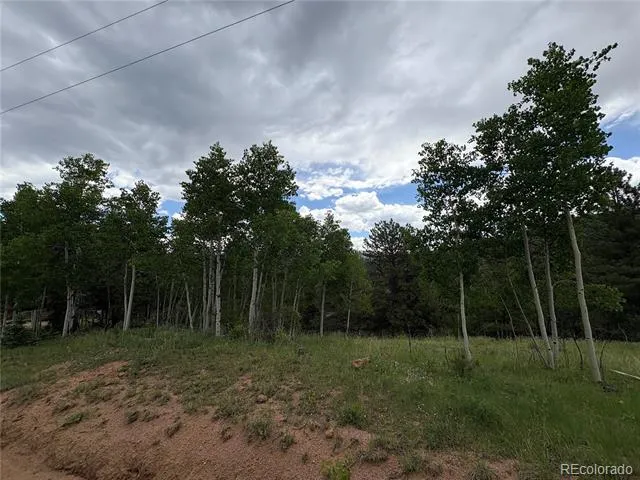 532 May Queen Drive Cripple Creek, CO 80813