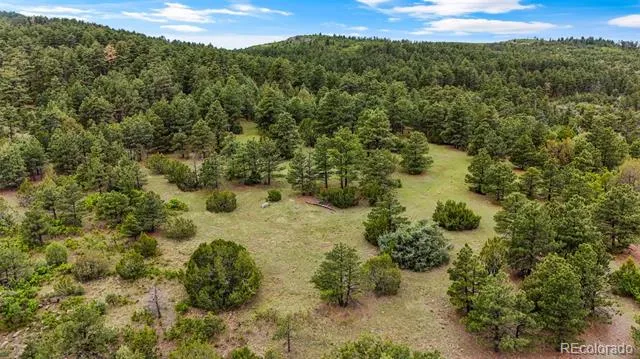 8716 National Forest Drive Beulah, CO 81023