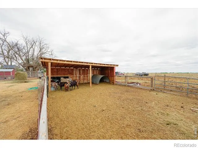 37648 County Road 49 Eaton, CO 80615
