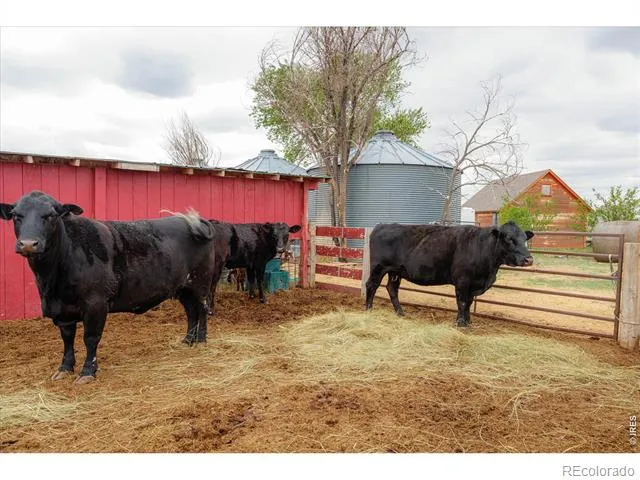 37648 County Road 49 Eaton, CO 80615