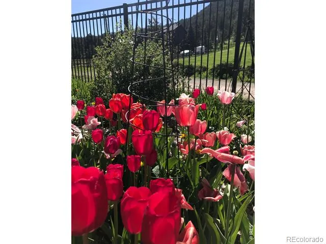 239 Estes Park Estates Drive Lyons, CO 80540