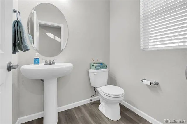 1172 Basalt Ridge Loop Castle Rock, CO 80108
