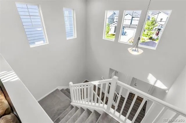 1172 Basalt Ridge Loop Castle Rock, CO 80108