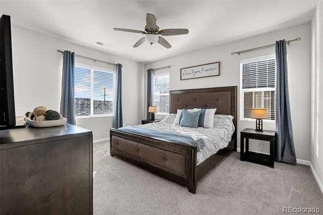 1172 Basalt Ridge Loop Castle Rock, CO 80108