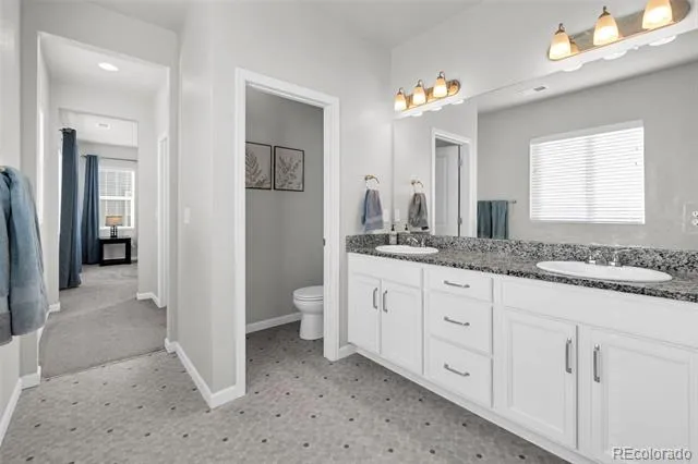1172 Basalt Ridge Loop Castle Rock, CO 80108