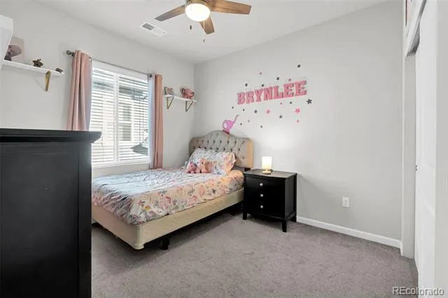 1172 Basalt Ridge Loop Castle Rock, CO 80108