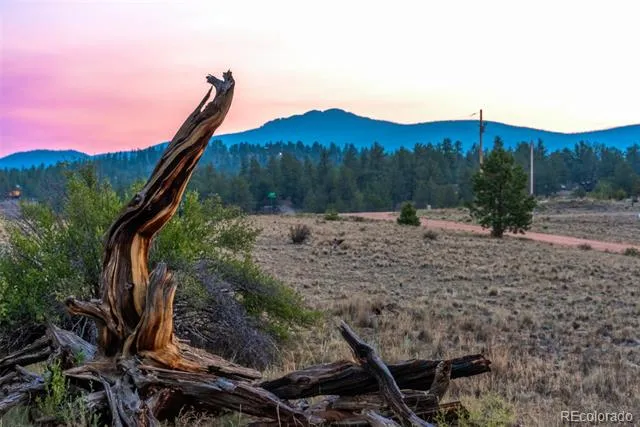 63 Rock Creek Way Jefferson, CO 80456