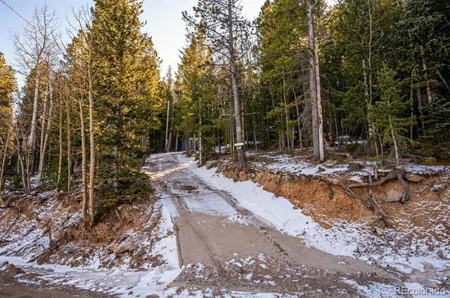 2334 Sinton Road Evergreen, CO 80439
